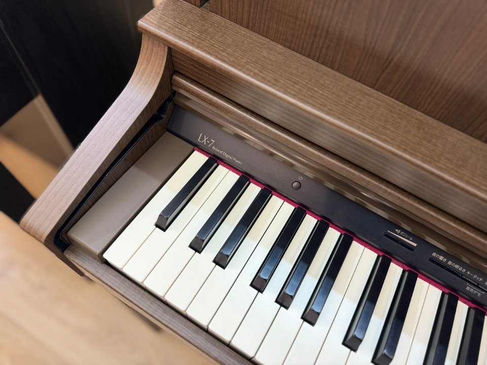 ROLAND LX-7 BW - Ảnh thực tế 8